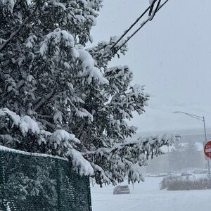 Meet your Posher, Aireonna